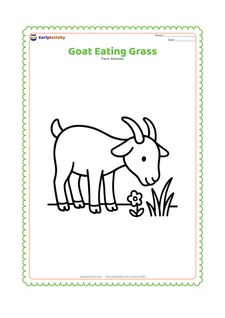 Colouring page: Draw a large goat bending its head down to nibble three tall grass blades, with its lips near the grass. Include only a low ground line and one small flower.