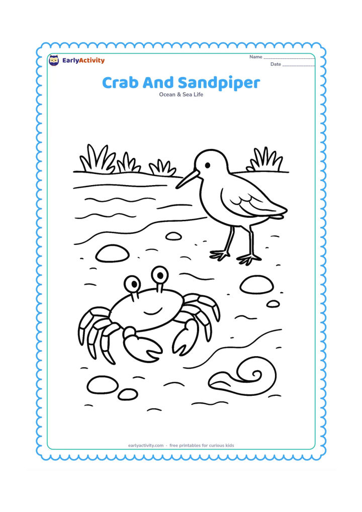 Colouring page: A crab walks sideways across a broad sandy shore while a friendly sandpiper searches for food nearby. Add scattered smooth stones, a curled piece of driftwood, tiny wave lines and a…