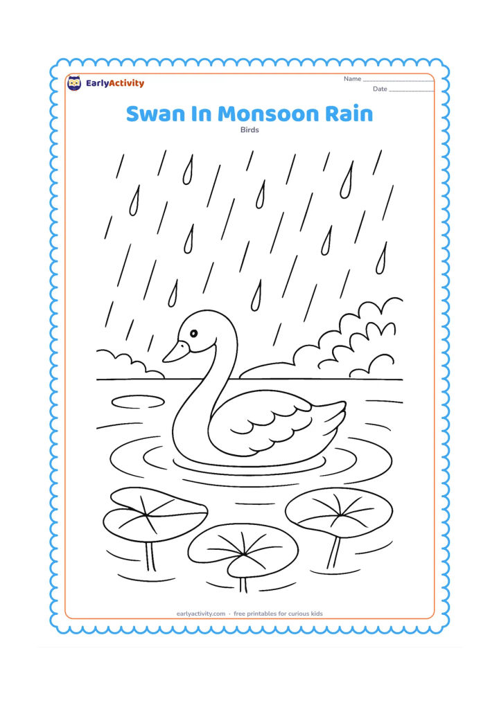 Colouring page: A swan floats on a pond during a gentle monsoon shower, with falling raindrops, expanding circular ripples, lotus leaves, and a leafy bank in the background.