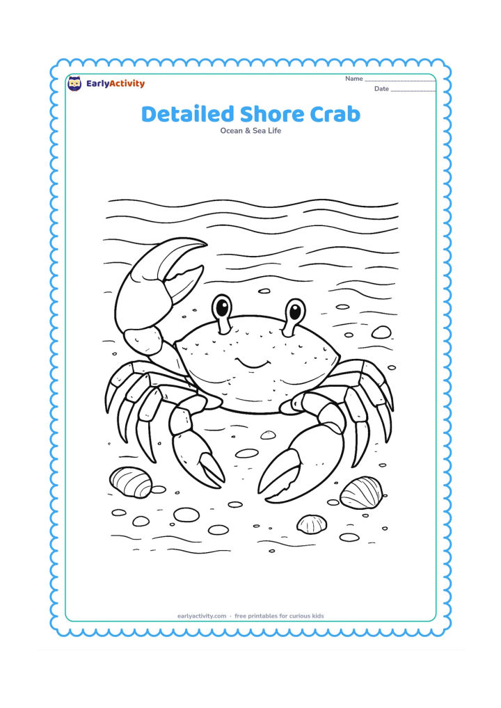 Colouring page: Draw a close view of a crab on wet sand, showing its two claws, jointed legs, eyes and shell texture clearly. Surround it with tiny shells, pebbles, shallow reflections and delicate wave…