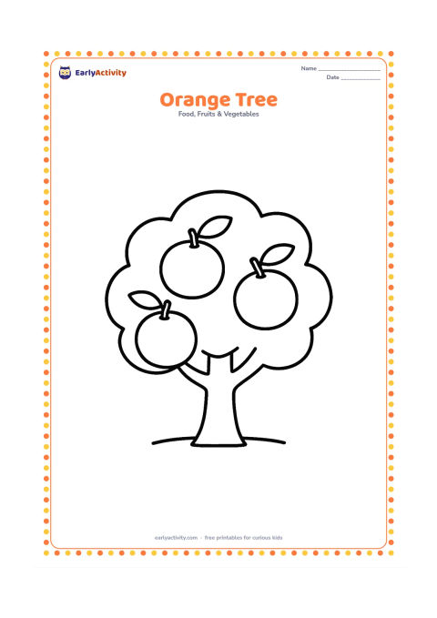 Colouring page: Draw a small orange tree with a rounded leafy crown and three large oranges hanging from its branches. Add a short ground line beneath the trunk.