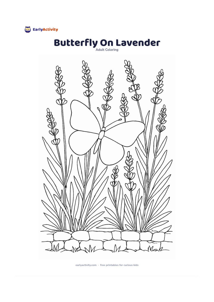 Colouring page: Draw a butterfly resting on tall lavender stems, surrounded by narrow leaves and several flower spikes. Place the plants in a small herb-garden patch with a low stone border.
