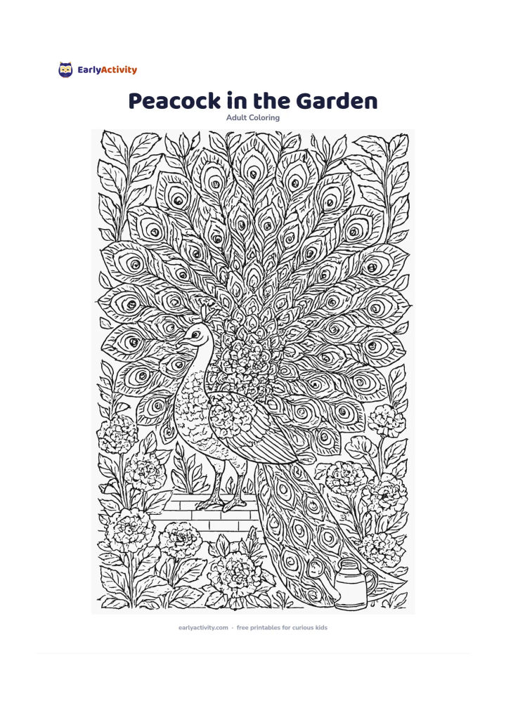 Colouring page: Draw a peacock standing in profile with its magnificent tail fully spread behind it. Fill the tail with symmetrical feather eyes, and place the bird in a garden of marigold-like flowers,…