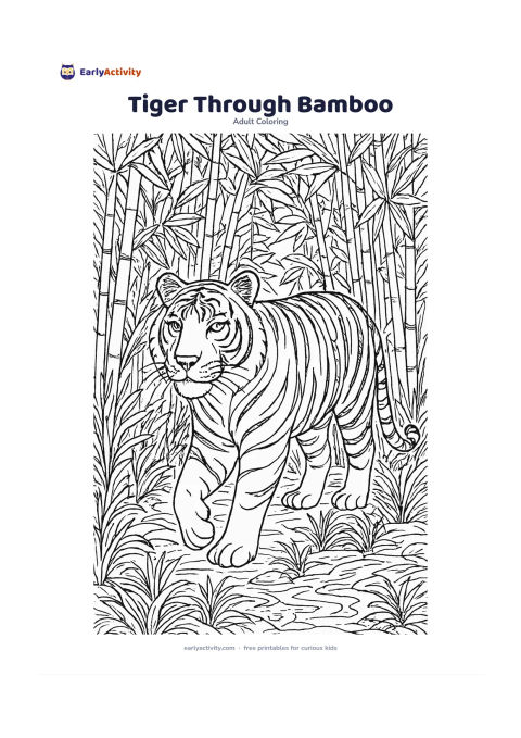 Colouring page: Draw a calm Bengal tiger walking through tall bamboo, shown in three-quarter view with one paw raised. Frame the animal with layered bamboo leaves, forest grasses, a shallow stream and…