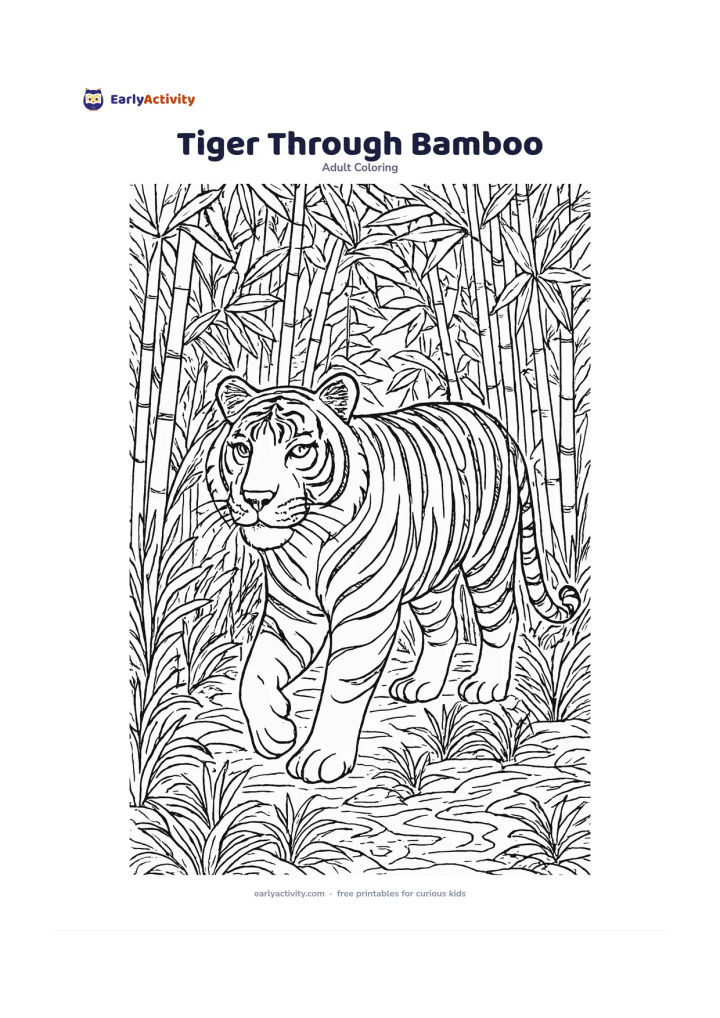 Colouring page: Draw a calm Bengal tiger walking through tall bamboo, shown in three-quarter view with one paw raised. Frame the animal with layered bamboo leaves, forest grasses, a shallow stream and…