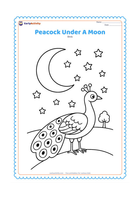 Colouring page: A peacock stands on a grassy hill beneath a large crescent moon and scattered stars. Show his folded train and a small tree silhouette in the distance.