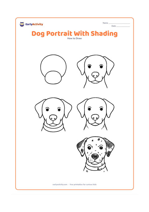 Worksheet: Show blank, unlabeled stages for an older child's front-facing dog portrait, beginning with construction ovals and adding muzzle, ears, collar, fur direction, coat spots and gentle…