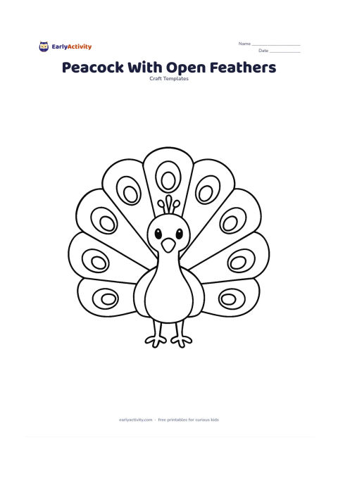 Worksheet: Draw a front-facing peacock standing with its tail fully open as one large rounded fan, a clear body and two feet. Divide the fan into a few large feather sections with big oval eye shapes.