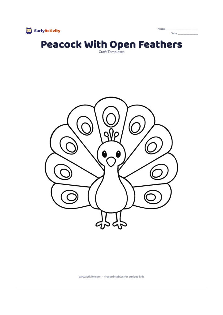 Worksheet: Draw a front-facing peacock standing with its tail fully open as one large rounded fan, a clear body and two feet. Divide the fan into a few large feather sections with big oval eye shapes.