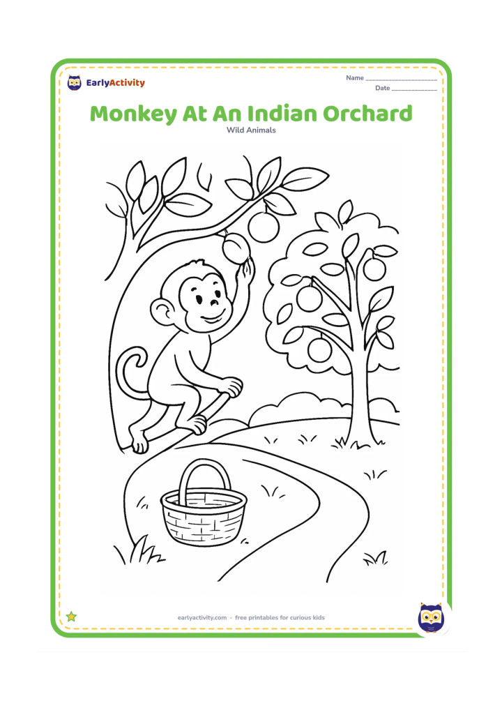 Colouring page: Draw one monkey reaching from a low tree branch toward round fruit in an Indian orchard. Include a second fruit tree, a woven basket on the ground and a simple field path.