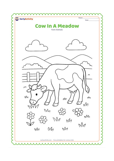 Colouring page: A cow grazes in a wide meadow filled with several flowers, tufts of grass, a low fence, and distant rounded hills. Show the cow in side view with its head lowered.
