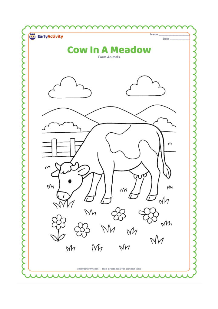 Colouring page: A cow grazes in a wide meadow filled with several flowers, tufts of grass, a low fence, and distant rounded hills. Show the cow in side view with its head lowered.