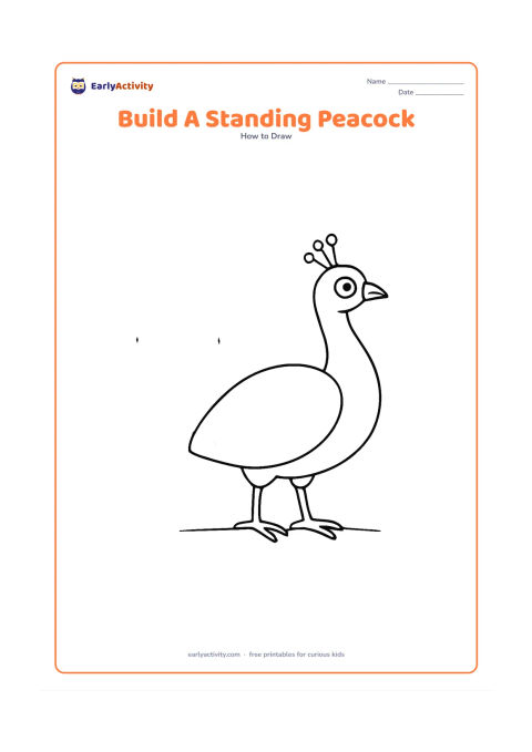 Worksheet: A standing peacock is shown as a guided drawing with lightly separated oval, circle and curved-line construction shapes leading to a finished body, neck, head, crest and tail. Place the…