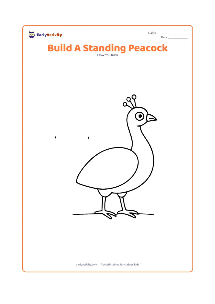 Worksheet: A standing peacock is shown as a guided drawing with lightly separated oval, circle and curved-line construction shapes leading to a finished body, neck, head, crest and tail. Place the…