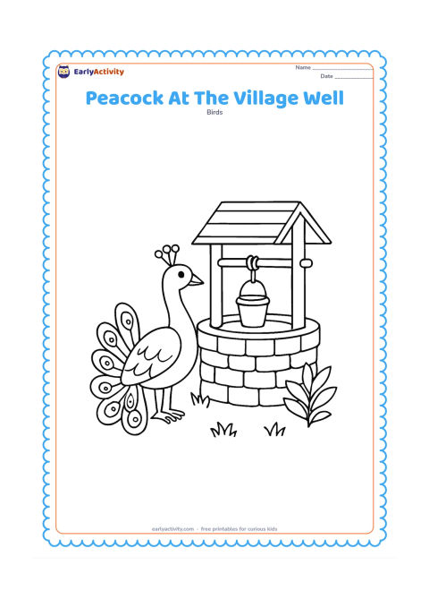 Colouring page: A peacock stands beside a simple round village well with a roof, bucket, and rope. Add a few grass tufts and a leafy plant around the well.