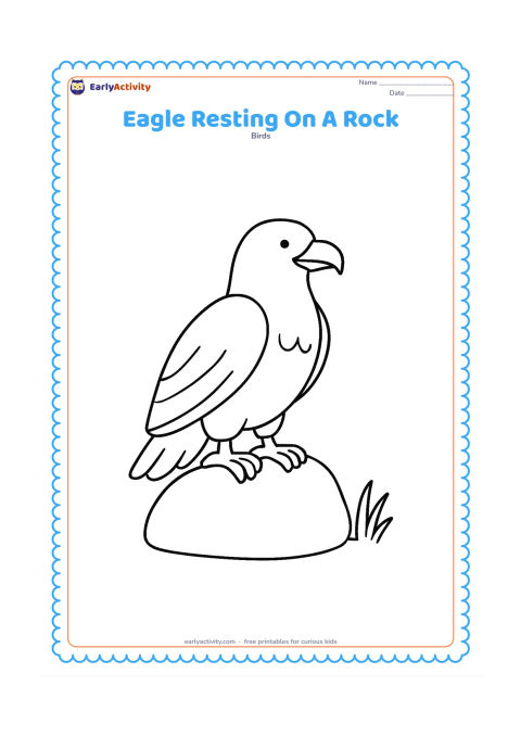 Colouring page: Draw an eagle sitting calmly on a large rounded rock, with folded wings and its head turned slightly to one side. Add one small grass tuft beside the rock.