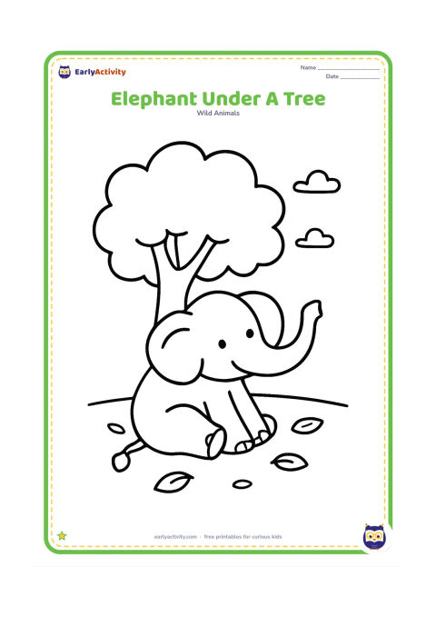 Colouring page: Draw an elephant resting beneath a large leafy tree with its trunk curled upward. Include a wide patch of shade, a few fallen leaves and open sky.