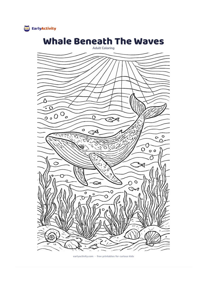Colouring page: Draw a peaceful humpback whale swimming through layered underwater currents, with its tail raised slightly. Add seaweed forests, bubbles, small fish, shells and rays of light filtering…