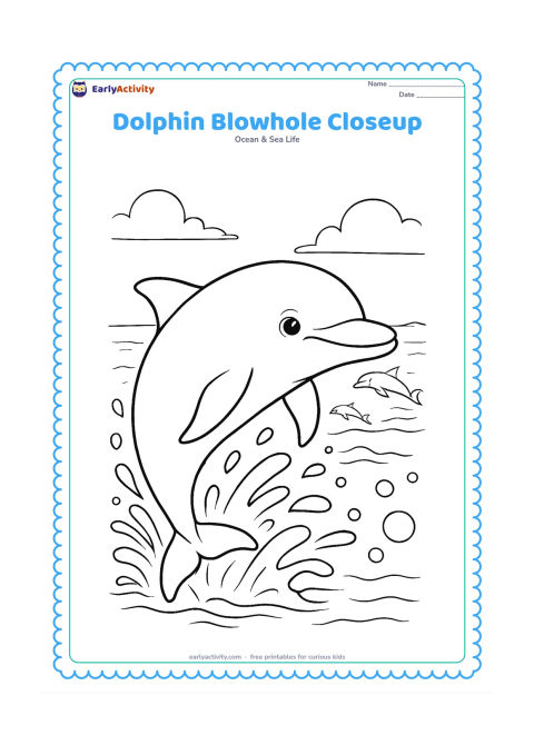 Colouring page: Draw a large dolphin surfacing in a close three-quarter view so its blowhole, eye, dorsal fin, and pectoral fins are clearly visible. Surround it with splash arcs, bubbles, a distant…