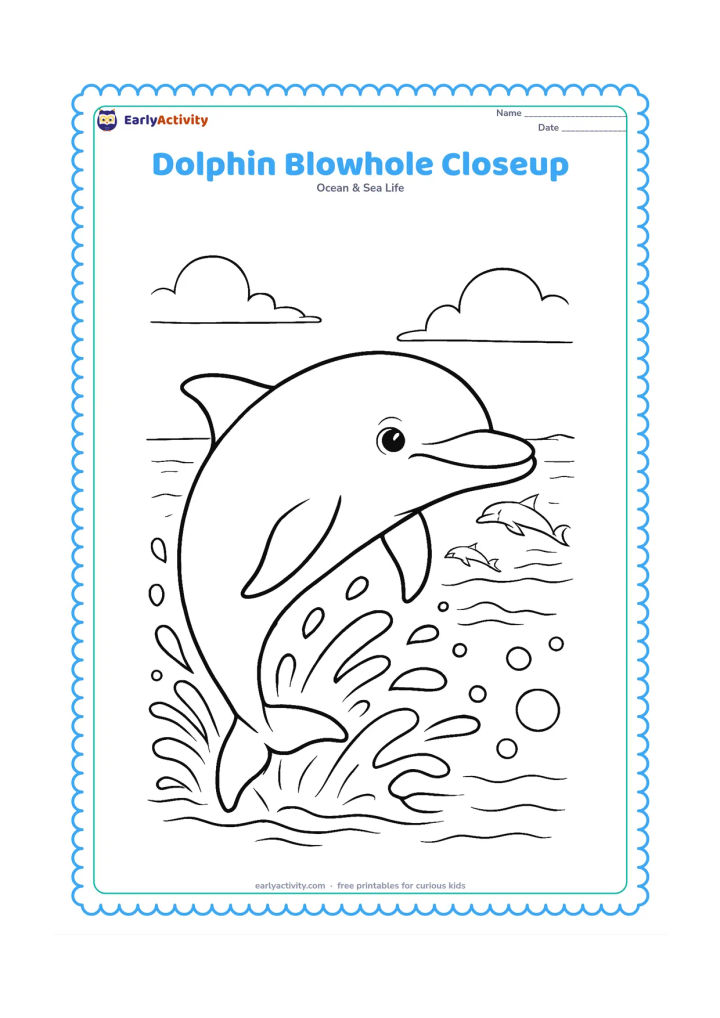 Colouring page: Draw a large dolphin surfacing in a close three-quarter view so its blowhole, eye, dorsal fin, and pectoral fins are clearly visible. Surround it with splash arcs, bubbles, a distant…