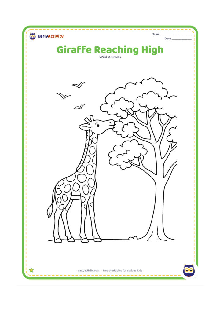 Colouring page: A giraffe stretches its neck high into an acacia canopy to reach leaves. Show the full animal, branching limbs, clusters of leaves and a few birds in the open sky.