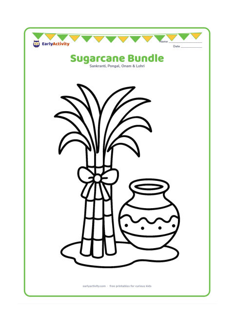 Colouring page: A tied bundle of tall sugarcane stalks stands beside a simple decorated pot, with broad leaves and a small patch of ground. Show only a few thick stalks.
