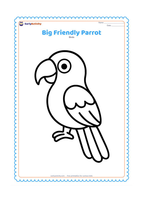 Colouring page: Draw one large parrot facing left, with a rounded body, oversized curved beak, big eye, broad tail, and clearly separated feathers. Leave the background empty so young children can…