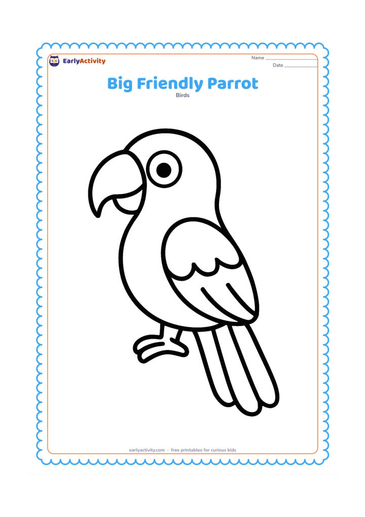 Colouring page: Draw one large parrot facing left, with a rounded body, oversized curved beak, big eye, broad tail, and clearly separated feathers. Leave the background empty so young children can…