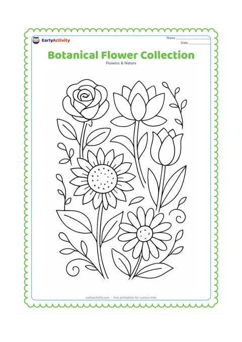 Colouring page: Draw a balanced arrangement of a rose, lotus, tulip, sunflower and daisy with their stems and leaves overlapping gently like a botanical bouquet. Surround them with a few curling vines…