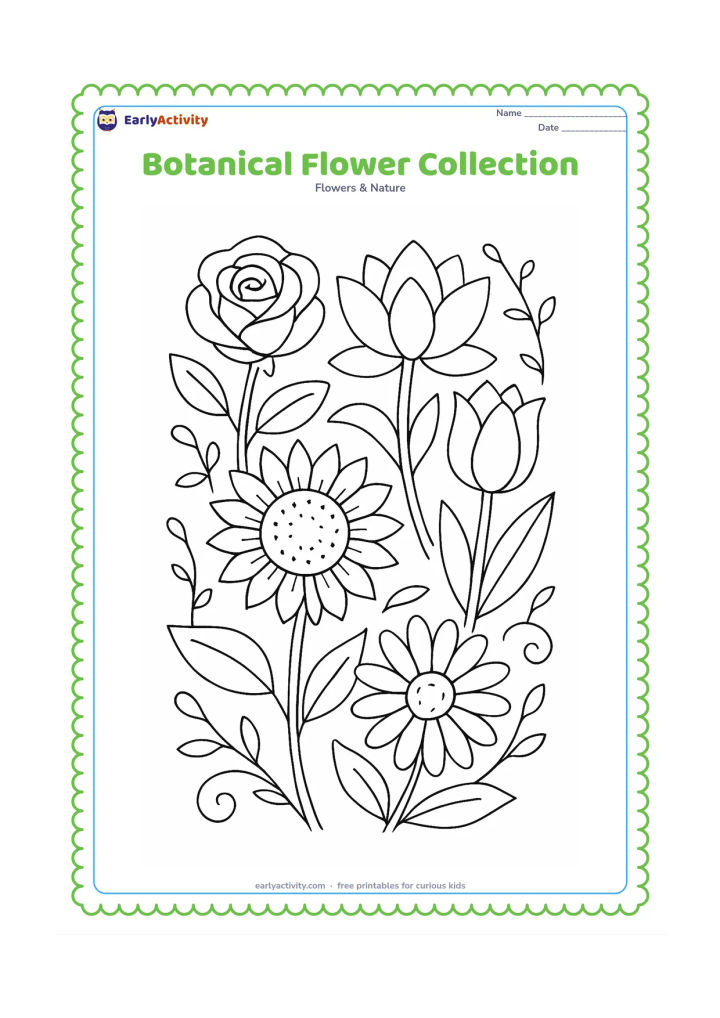 Colouring page: Draw a balanced arrangement of a rose, lotus, tulip, sunflower and daisy with their stems and leaves overlapping gently like a botanical bouquet. Surround them with a few curling vines…