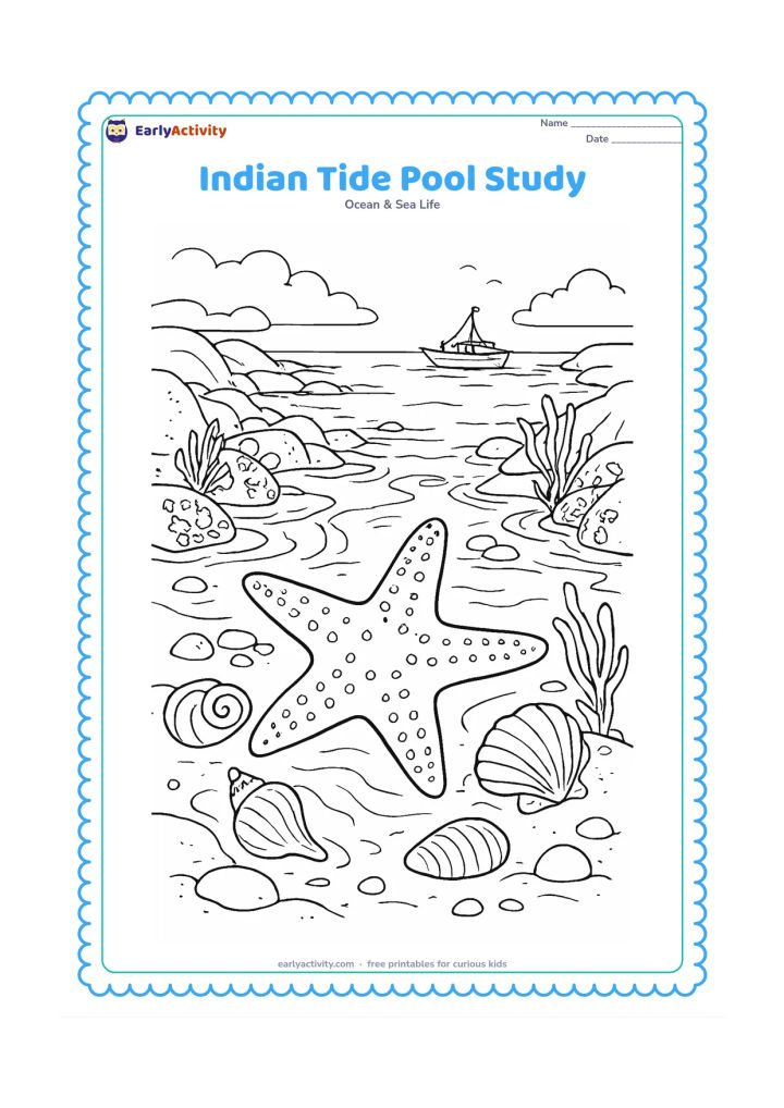 Colouring page: Draw a detailed Indian coastal tide pool with a starfish, shells, barnacle-covered rocks, seaweed, ripples and a distant small fishing boat.