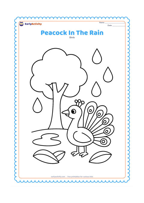 Colouring page: A peacock stands under a large leafy tree while a few large raindrops fall around him. Add a small puddle and two broad leaves on the ground.