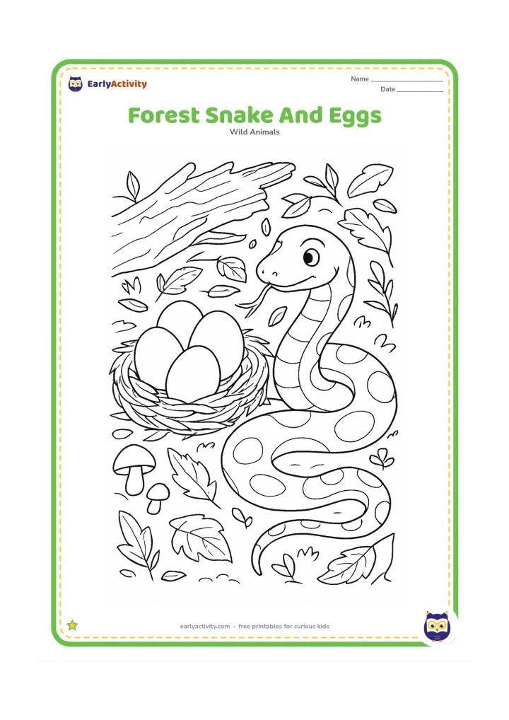 Colouring page: Draw a snake resting beside a nest containing several eggs on a forest floor, with fallen leaves, tree bark, mushrooms, and small plants around it. Make the nest and snake easy to…