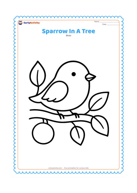 Colouring page: Draw one sparrow resting on a thick tree branch with a few large leaves and one round fruit. Place the bird prominently near the center.