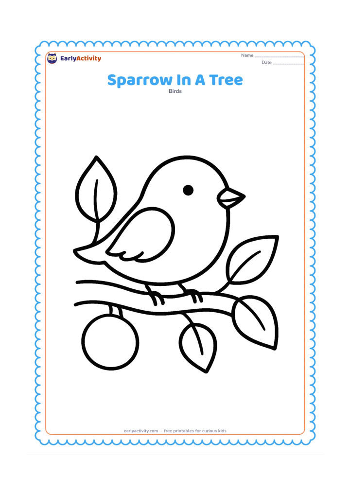 Colouring page: Draw one sparrow resting on a thick tree branch with a few large leaves and one round fruit. Place the bird prominently near the center.
