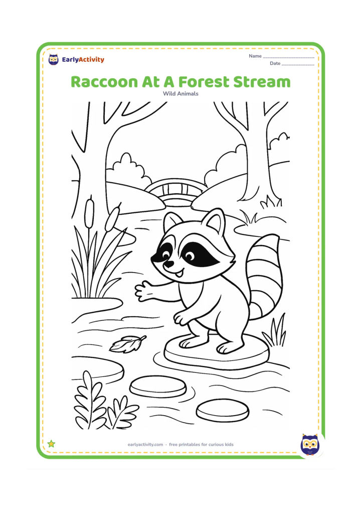 Colouring page: Draw a raccoon standing on a flat stone at the edge of a stream, reaching toward a floating leaf. Add stepping stones, reeds, ferns, a small bridge in the distance and tree trunks.