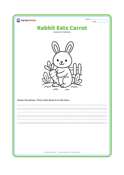 Worksheet: Draw a rabbit sitting in a small vegetable patch and holding a large carrot. Include two oversized leaves and a simple fence behind it.