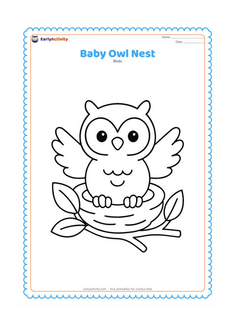 Colouring page: A baby owl with open wings sits safely in a round nest, with two large leaves and a small branch around the nest.