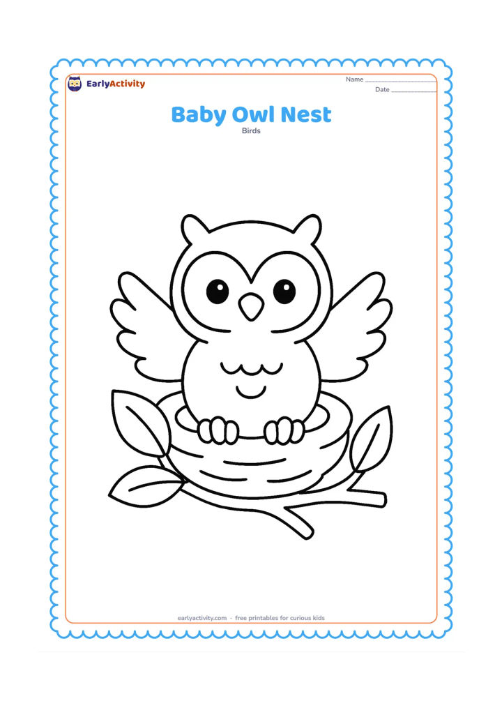 Colouring page: A baby owl with open wings sits safely in a round nest, with two large leaves and a small branch around the nest.