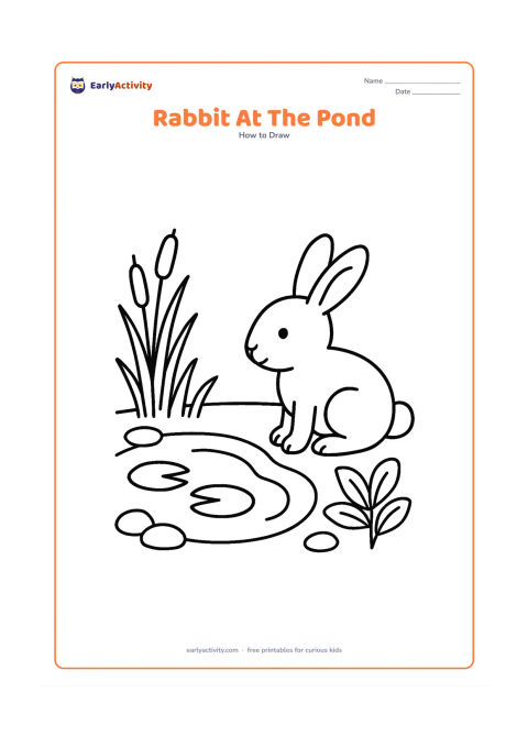 Worksheet: Show a rabbit sitting beside a small pond, looking at two simple lily pads and a curved reflection line. Add reeds, a few smooth stones and a leafy plant around the pond.