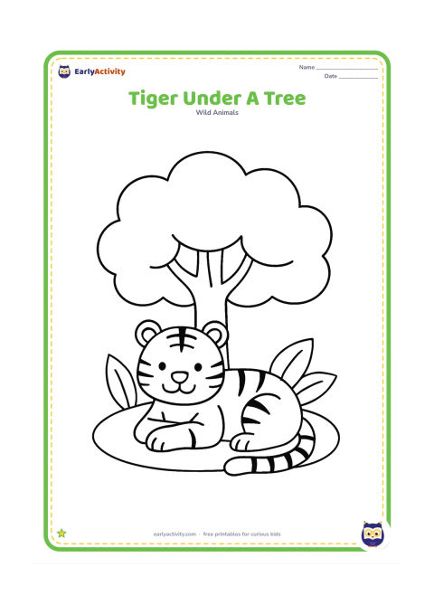 Colouring page: A tiger rests beneath a broad-canopied tree with its front paws crossed and tail curled around its body. Add three large leaves and a small patch of shade indicated by a curved outline.