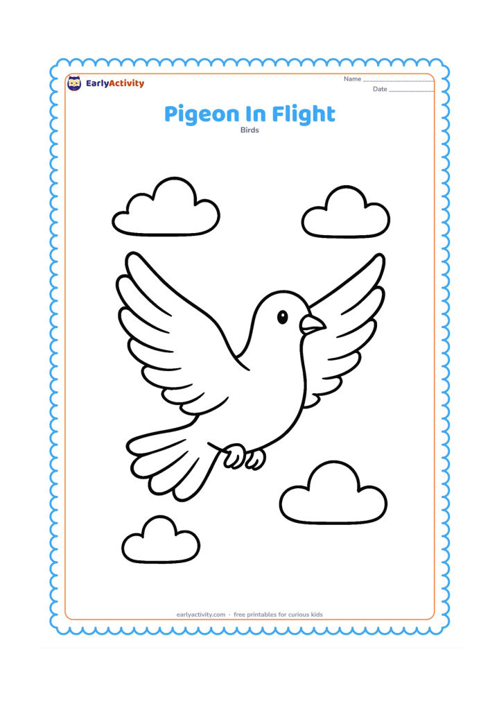 Colouring page: A pigeon flies across the page with both wings spread wide, tail feathers open, and feet tucked underneath. Add three large clouds and no complicated scenery.