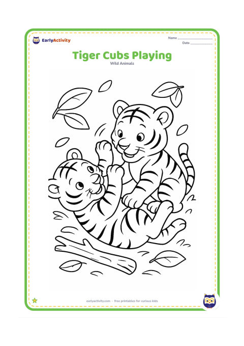 Colouring page: Two tiger cubs playfully roll and paw at each other on a leafy forest floor. Add a fallen branch, a few leaves, and curved motion marks without using any words or symbols.