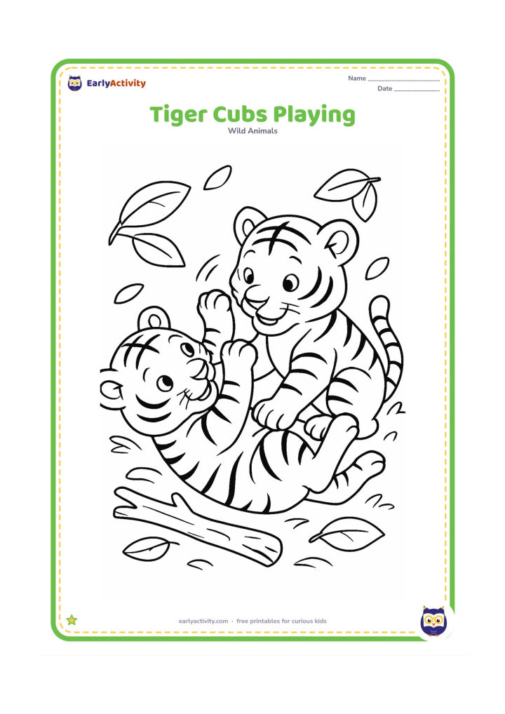 Colouring page: Two tiger cubs playfully roll and paw at each other on a leafy forest floor. Add a fallen branch, a few leaves, and curved motion marks without using any words or symbols.