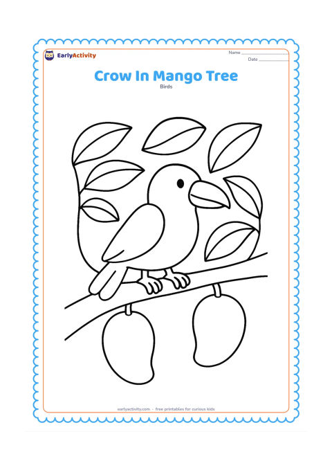 Colouring page: A crow sits on a thick mango tree branch surrounded by several large leaves and two large mangoes.