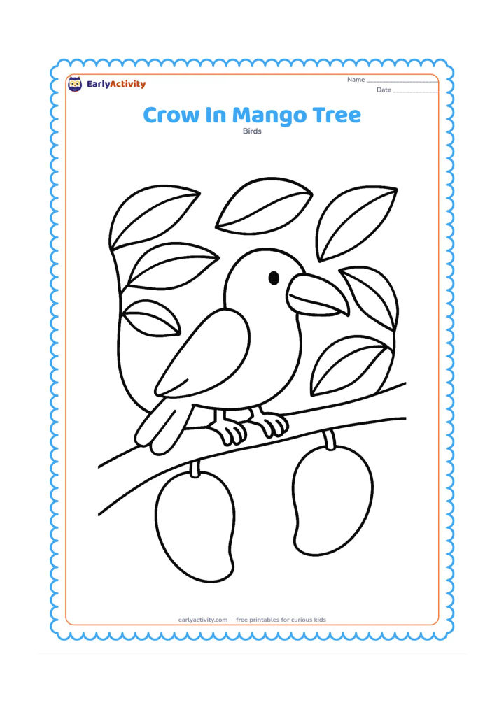 Colouring page: A crow sits on a thick mango tree branch surrounded by several large leaves and two large mangoes.