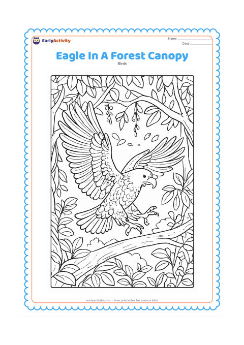 Colouring page: Draw an eagle landing on a thick branch inside a forest canopy, wings lifted and feet reaching forward. Surround it with overlapping branches, leaves, hanging vines, small flowers and…
