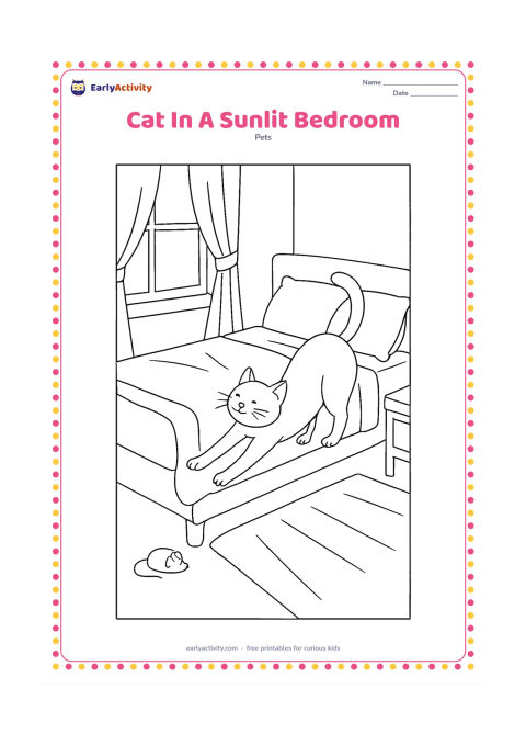 Colouring page: Draw a cat stretching on a bed in a bright bedroom, with pillows, a folded blanket, curtains, a bedside table, and sunlight shapes across the floor. Add a toy mouse under the bed edge.
