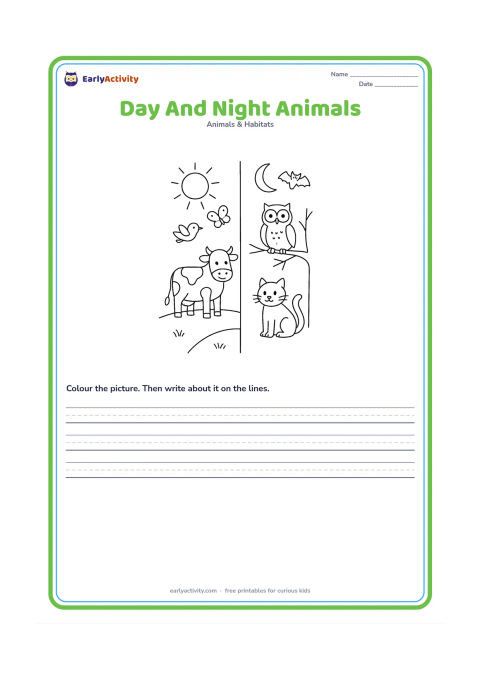 Worksheet: Divide the picture into two open landscape areas without written labels: a bright daytime area with a cow, bird and butterfly, and a moonlit area with an owl, bat and cat. Use visual sun…