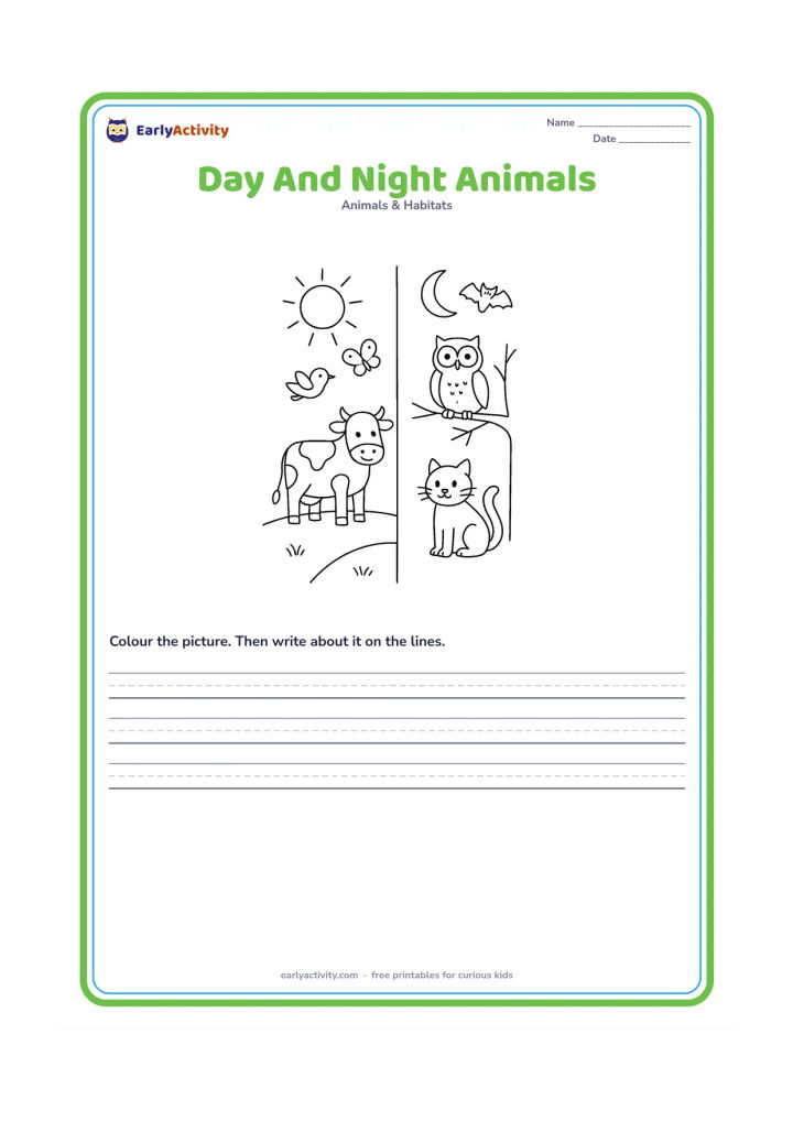 Worksheet: Divide the picture into two open landscape areas without written labels: a bright daytime area with a cow, bird and butterfly, and a moonlit area with an owl, bat and cat. Use visual sun…